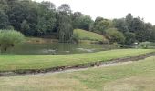 Tour Wandern Clavier - Saint-Fontaine - Ossogne - Photo 2