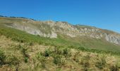 Trail Walking Arcizans-Dessus - cretes du soum de la pène - Photo 1