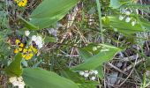 Trail Walking Pralognan-la-Vanoise - Pralognan - le petit Mont Blanc - Photo 18