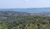 Trail Walking Sainte-Maxime - circuit panoramique Ste Maxime - Photo 14