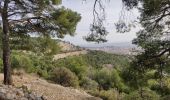 Trail Walking Toulon - reco faron 2 - Photo 5