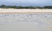 Tour Wandern Wissant - PAS DE CALAIS: WISSANT - CAP GRIS NEZ - Photo 10