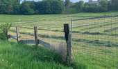 Trail Walking Anderlues - Balade Lobbes-Thuin-Anderlues  - Photo 2