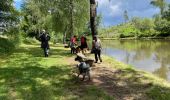 Trail Walking Habay - Mageroy ADEPS 2022 10 km - Photo 3