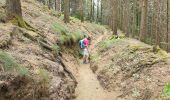 Excursión Senderismo Angomont - Le champ de bataille de la Chapelotte - Photo 15