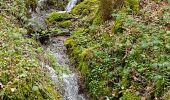 Trail Walking Bouxières-aux-Bois - Bouxieres-aux-bois : Le circuit de Virine - Photo 3