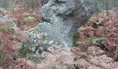 Trail Walking Fontainebleau - Rocher du Cuvier Châtillon - Photo 1