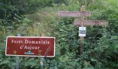 Trail Walking Le Saix - Le Fai - Lac de Peyssier - Photo 12
