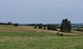 Tocht Stappen Sainte-Ode - rando beauplateau 24-08-2023 - Photo 17