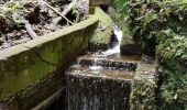 Tocht Stappen Porto Moniz - Gorge de la Ribeira da Janela et sa belle cascade (Rother n°60) - Photo 19