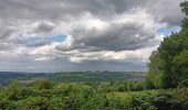 Tour Wandern Comblain-au-Pont - qwadrifyon autour d´Oneux  - Photo 10