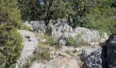 Tour Wandern Signes - Signes - L'éléphant de pierre - Photo 12