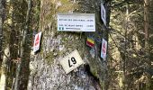 Tocht Stappen Gérardmer - Roches de Bruyères et du Page, Gorges du Roitelet - Photo 3