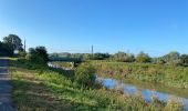 Tocht Stappen Mechelen - Malines out and in 20 km - Photo 17