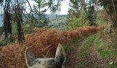Trail Horseback riding Haut-du-Them-Château-Lambert - camping pat ballon servance  - Photo 1
