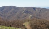 Tocht Te voet Marradi - Sorgenti di Firenze Trekking - Anello 20: Sui monti di Dino Campana - Photo 8