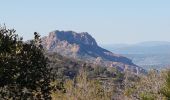 Percorso Marcia Roquebrune-sur-Argens - ROQUEBRUNE SUR ARGENS - A L'OUEST DE LA FLUTE - Photo 19