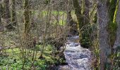 Tocht Stappen Viroinval - Balade à Le Mesnil - Viroinval - Photo 10