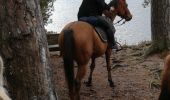 Trail Horseback riding Badonviller - badonviller avec les filles  - Photo 1