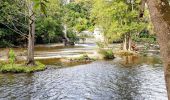 Tour Wandern Dinant - Anseremme - Freyr - Walzin - Photo 6