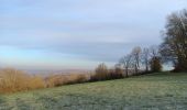 Trail Walking Theux - marché theux sasdor franchimont - Photo 10