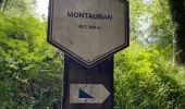 Tour Wandern Wirten - Trou des fées, Montauban & Fourneau Marchand - Photo 14