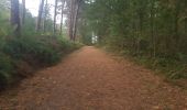 Randonnée Marche nordique Petit-Couronne - course en forêt du rouvray - Photo 7