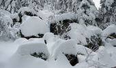 Tour Schneeschuhwandern Basse-sur-le-Rupt - 20210102_raq_Planois_Chalet-des-Charmes - Photo 3