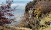 Tour Wandern Léoncel - Pierre Chauve-Pas de St Vincent- Pas de Touet - Photo 10