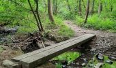 Trail Walking Ohey - Promenade des Petits Ponts- Bois d'Ohey - Photo 3