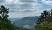 Tour Wandern Murol - Lac Chambon dent du Marais. - Photo 6