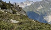 Excursión Senderismo Chamonix-Mont-Blanc - Montroc,Les 4 vents par les echelles d'Argentiere,Les Tines - Photo 3