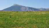 Trail Walking La Roche-des-Arnauds - Serigons - Rabou par petit Buëch  - Photo 17
