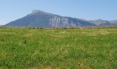 Tour Wandern La Roche-des-Arnauds - Serigons - Rabou par petit Buëch  - Photo 17