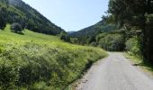 Randonnée Marche Châtillon-en-Diois - La Montagnette par le Pas de la Plane (Combau) - Photo 11