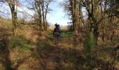 Trail Walking Talencieux - talencieux - Photo 2