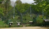 Tour Zu Fuß Wernigerode - DE-grünes Quadrat - Photo 1