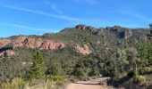 Excursión Senderismo Saint-Raphaël - Esterel : Le Mont Vinaigre par Gaspard de Besse - Photo 10