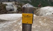 Trail Walking Pralognan-la-Vanoise - Pralognan - le petit Mont Blanc - Photo 7