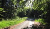 Randonnée Marche Rethondes - en forêt de Laigue_6_12_2019_Route Forestière des Princesses_Route et Chemin de Briançon - Photo 6