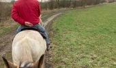 Trail Horseback riding Saint-Martin - Reprise Kaline Tivio  - Photo 4