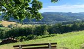 Trail Horseback riding Ban-de-Laveline - Ban de Laveline- Fraize - Photo 1