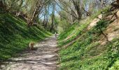 Randonnée Marche Mont-Saint-Guibert - dans les champs et le long de l'orne. - Photo 11