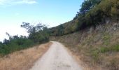 Tocht Stappen Montesquieu-des-Albères - dans les environs de Montesquieu  - Photo 13