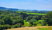 Tocht Stappen Durbuy - Balade à Villers Sainte Gertrude - Photo 17