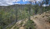 Trail Walking Chile Chico - Cerro Fosiles - Photo 1