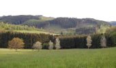 Trail On foot Hilchenbach - Jung-Stilling-Rundweg - Photo 9