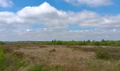 Trail Walking Waimes - petit tour en Brackvenn  - Photo 18