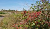 Tour Wandern Koksijde - Coxyde Randonnée schipgat plus variante perso - Photo 13