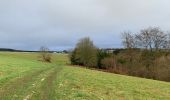 Tocht Stappen La Roche-en-Ardenne - Chèque - Photo 7